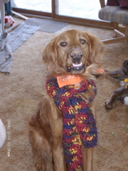 Nigel