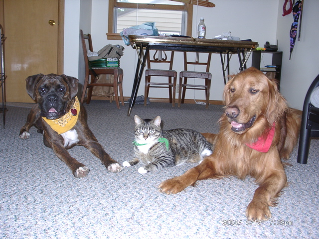 Puck, George, Nigel
