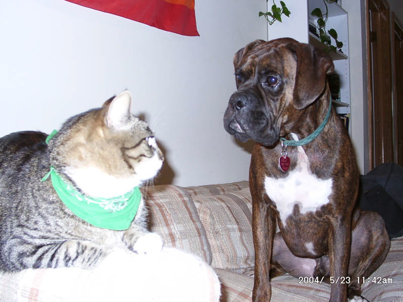 George and Puck