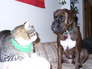 George and Puck