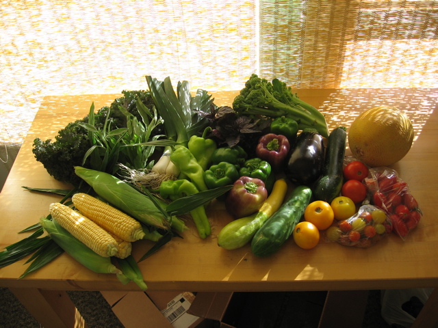 Easy Bean Food Share (August 9th)