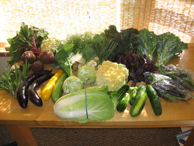 Easy Bean Food Share - July 19th