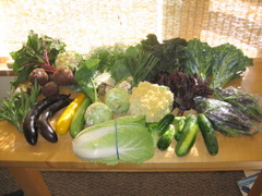 Easy Bean Food Share - July 19th