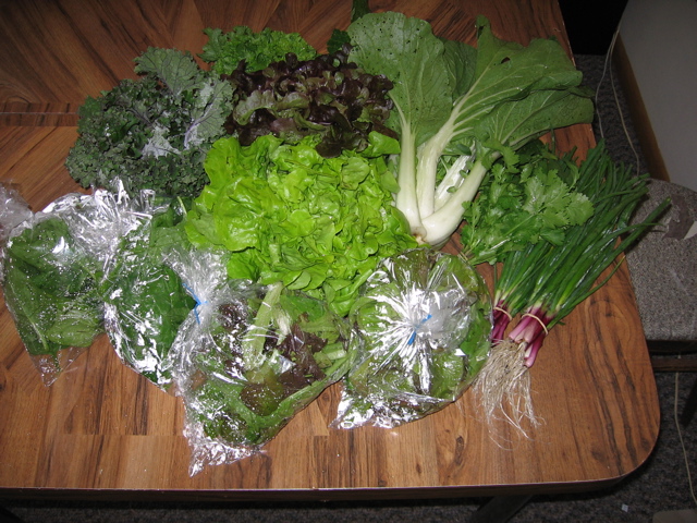Easy Bean Food Share - June 14