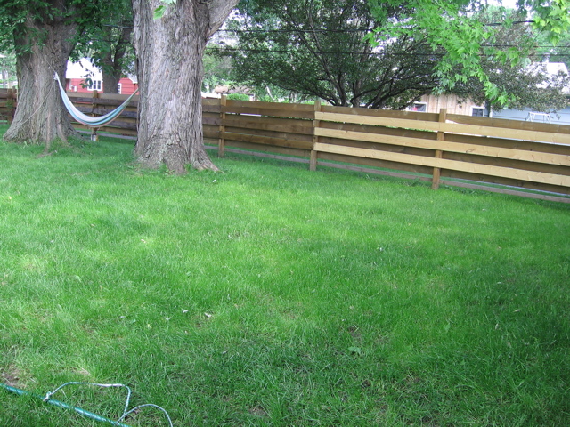 More fence pictures