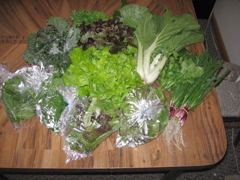 Easy Bean Food Share - June 14
