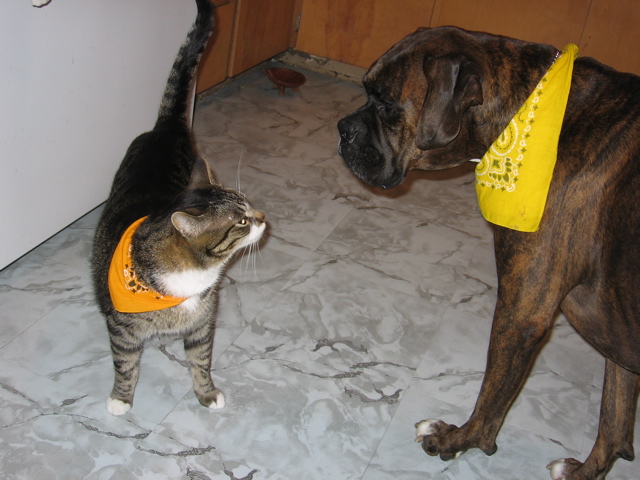 George and Puck