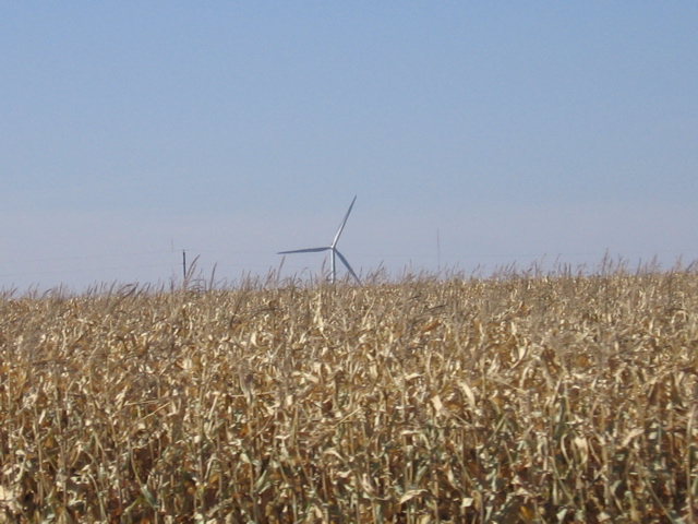 Windmill in Morris