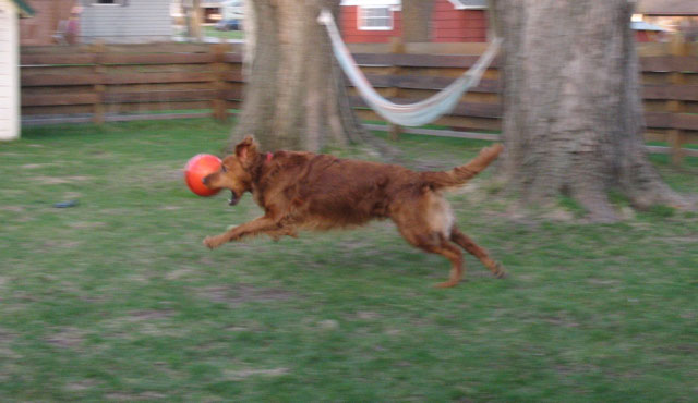 Another action shot