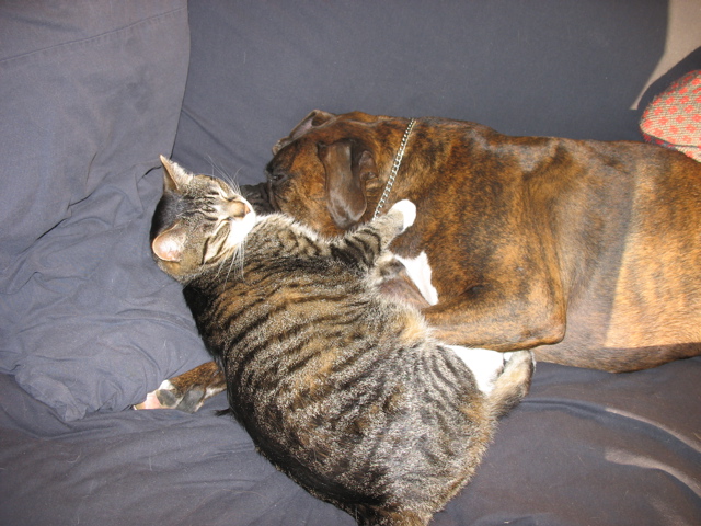 George and Puck