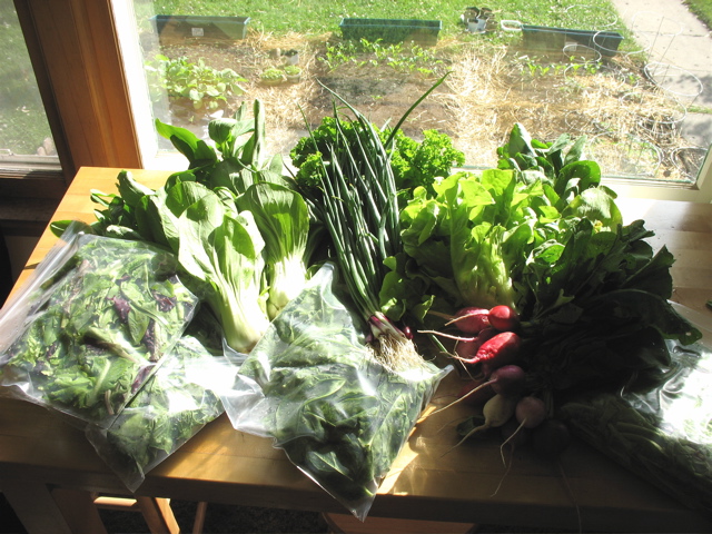 Easy Bean Food Share - June 13th