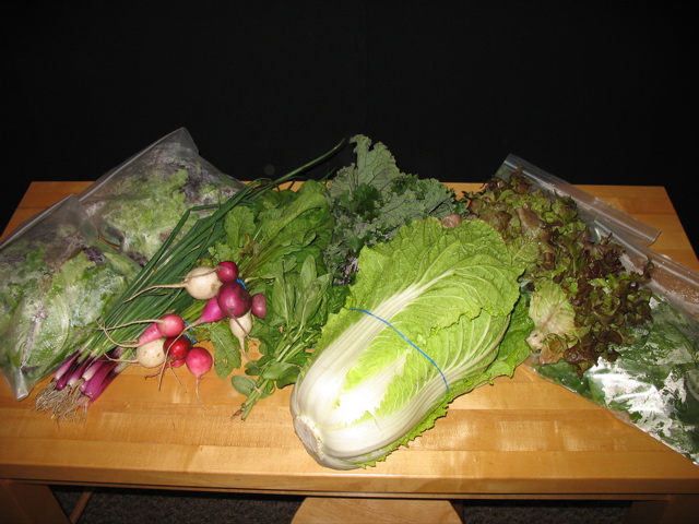 Easy Bean Food Share - June 20th