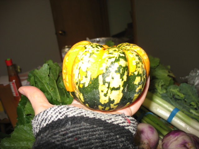 Squash