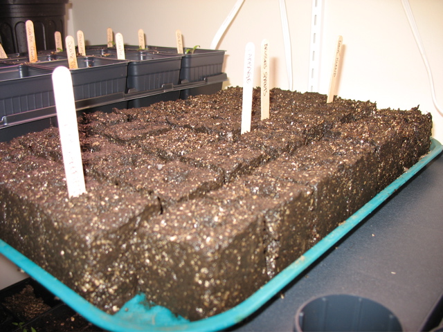Soil Blocks