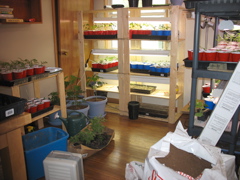 The ridiculous seeling room